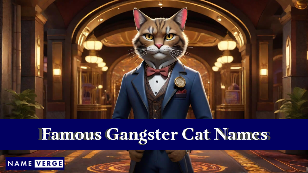 Famous Gangster Cat Names
