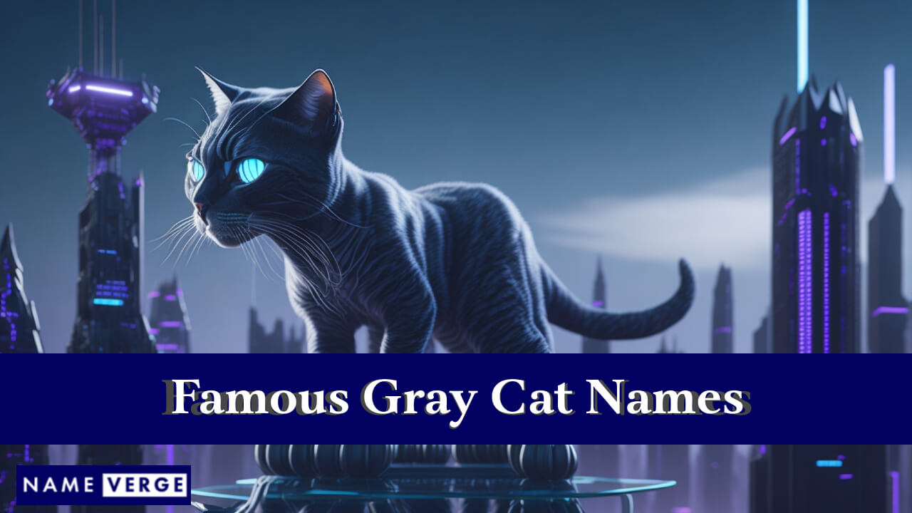 Famous Gray Cat Names