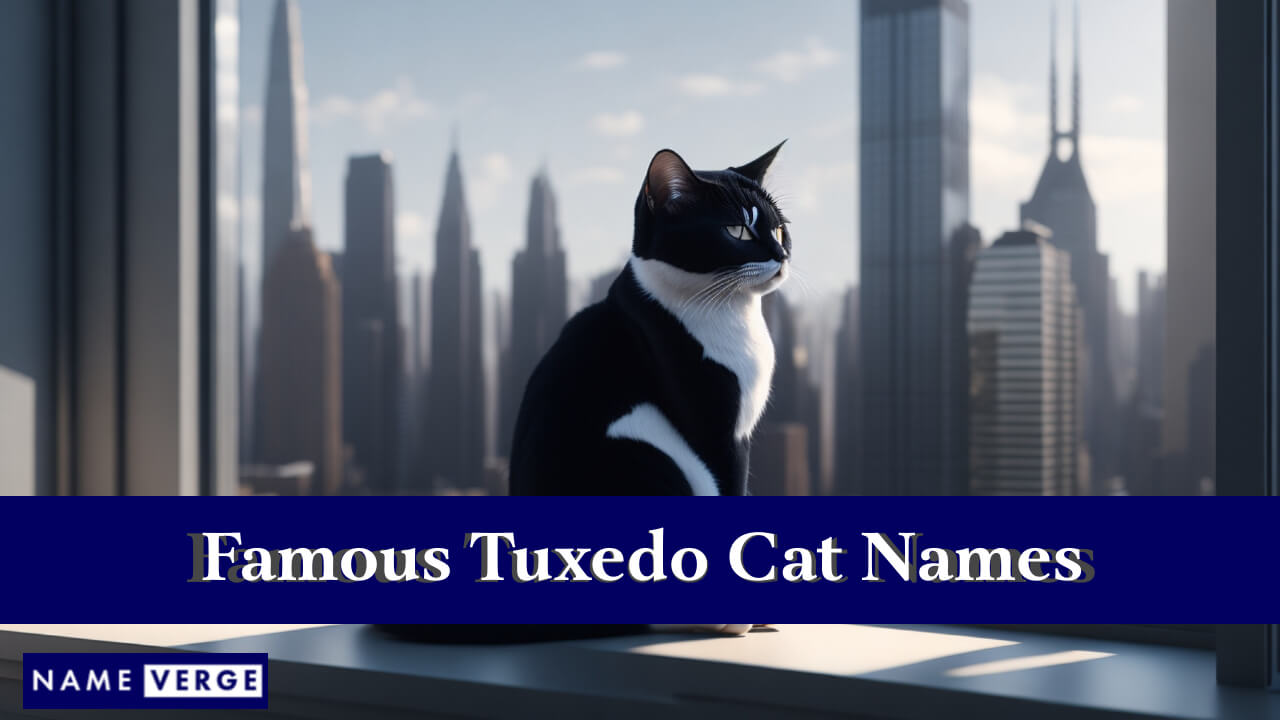 Famous Tuxedo Cat Names