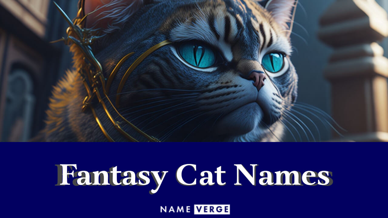 Fantasy Cat Names: 222+ Magical Fantasy Names For Cats