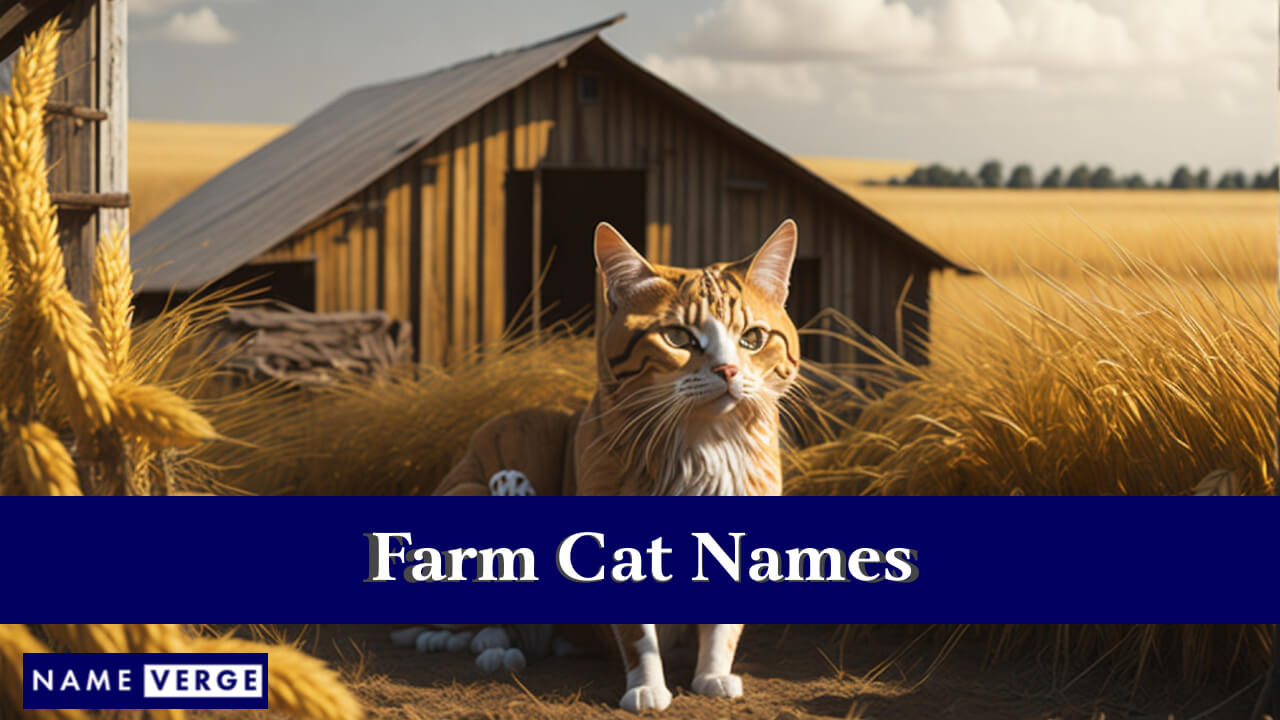 Farm Cat Names