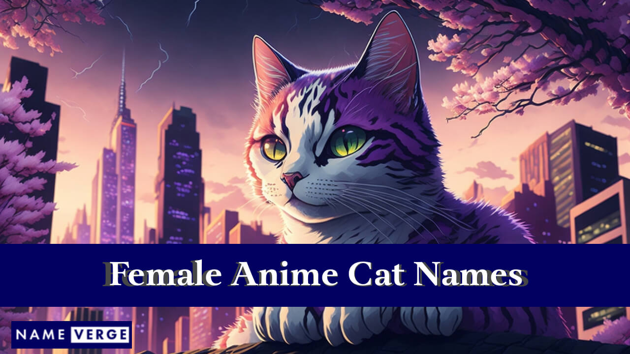 Female Anime Cat Names