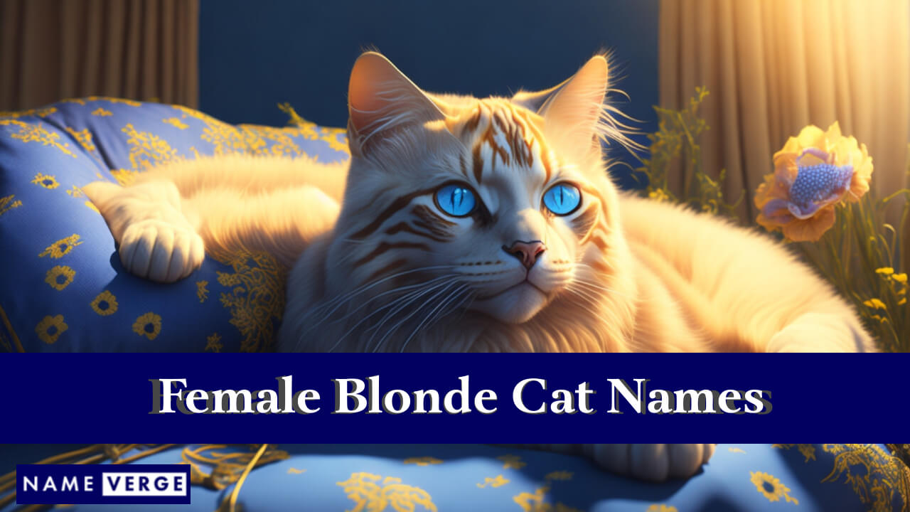 Female Blonde Cat Names