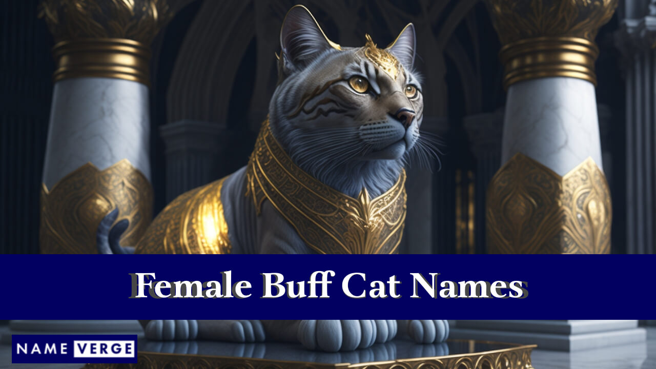 Female Buff Cat Names