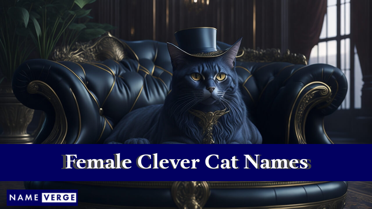 Female Clever Cat Names
