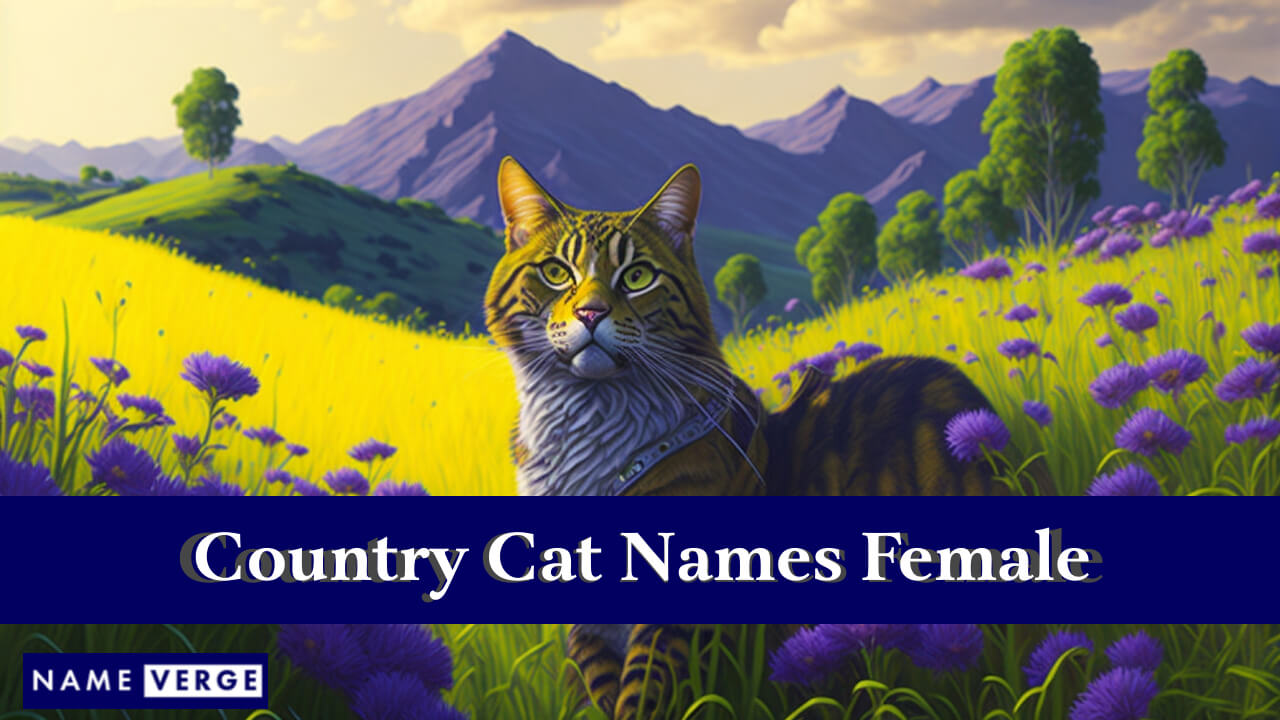 Country Cat Names Females