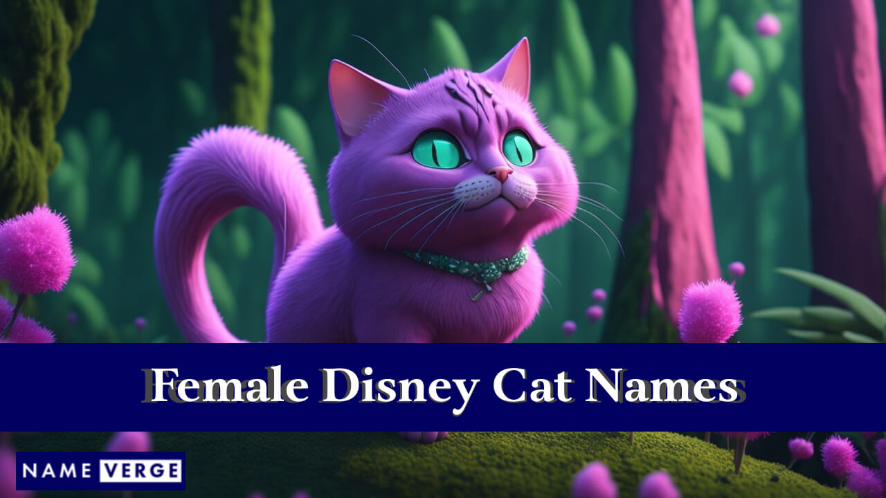 Female Disney Cat Names