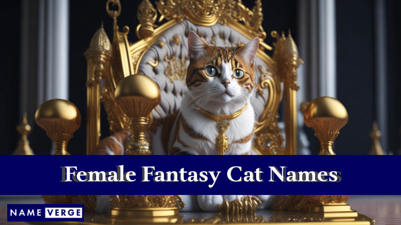 Fantasy Cat Names Females