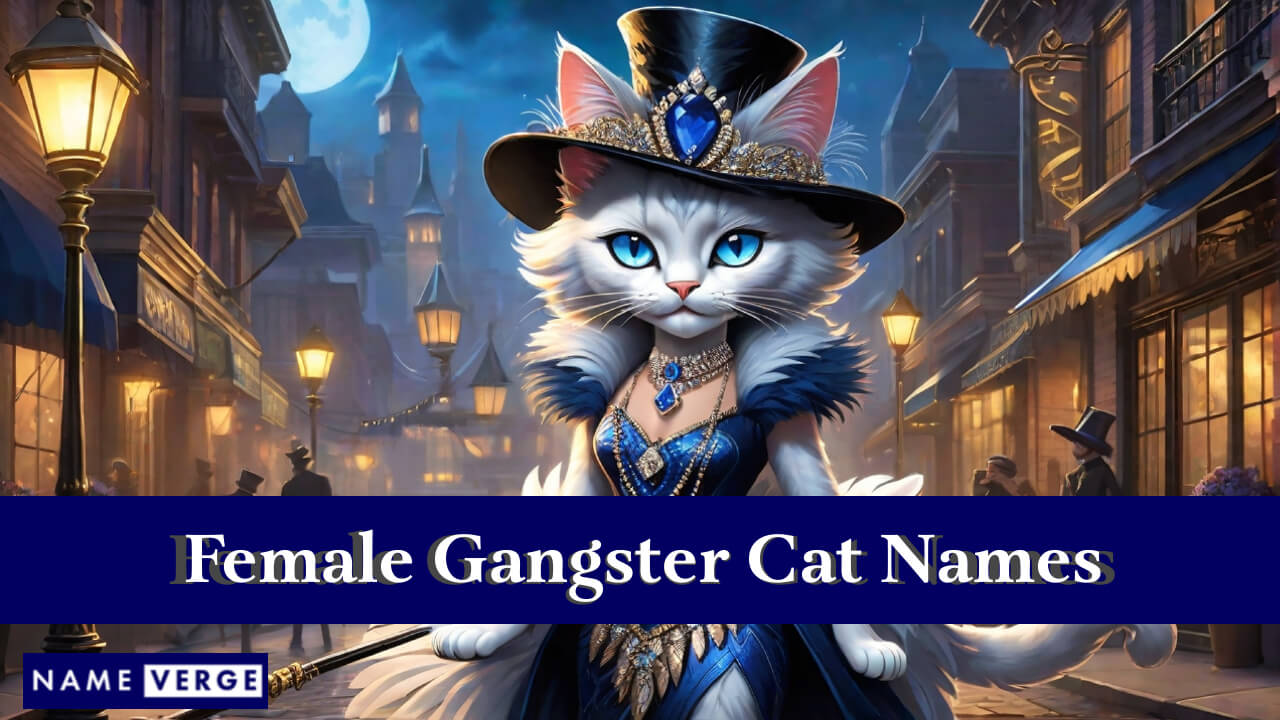 Female Gangster Cat Names
