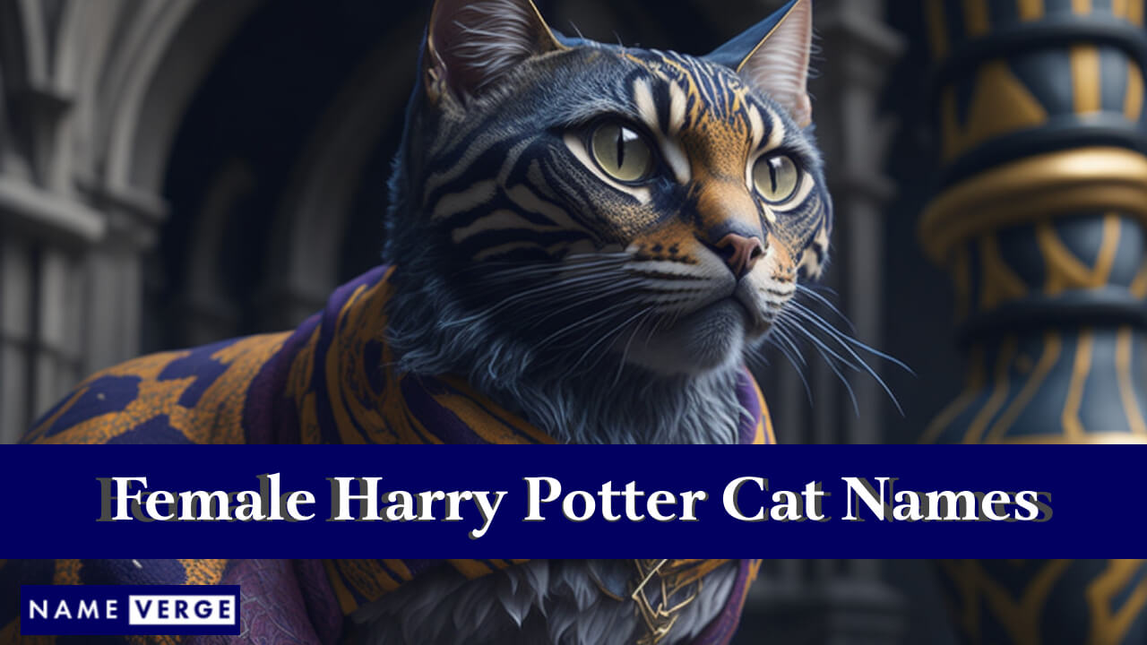 Female Harry Potter Cat Names