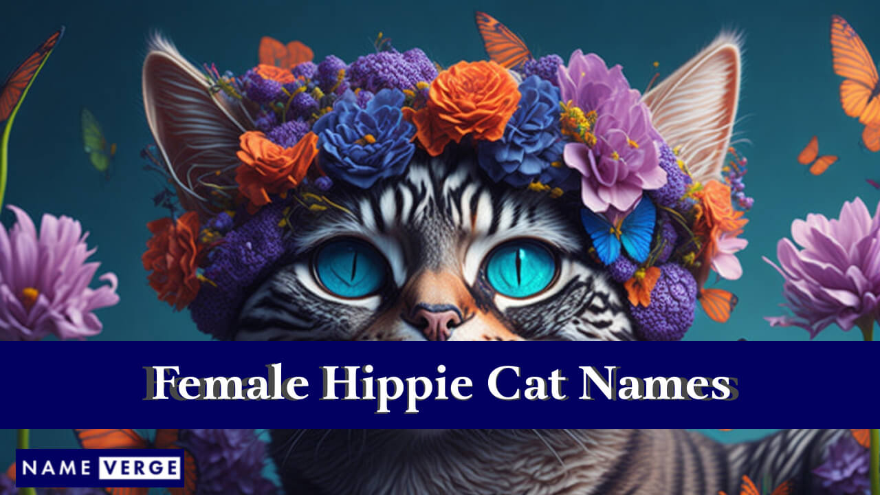Female Hippie Cat Names