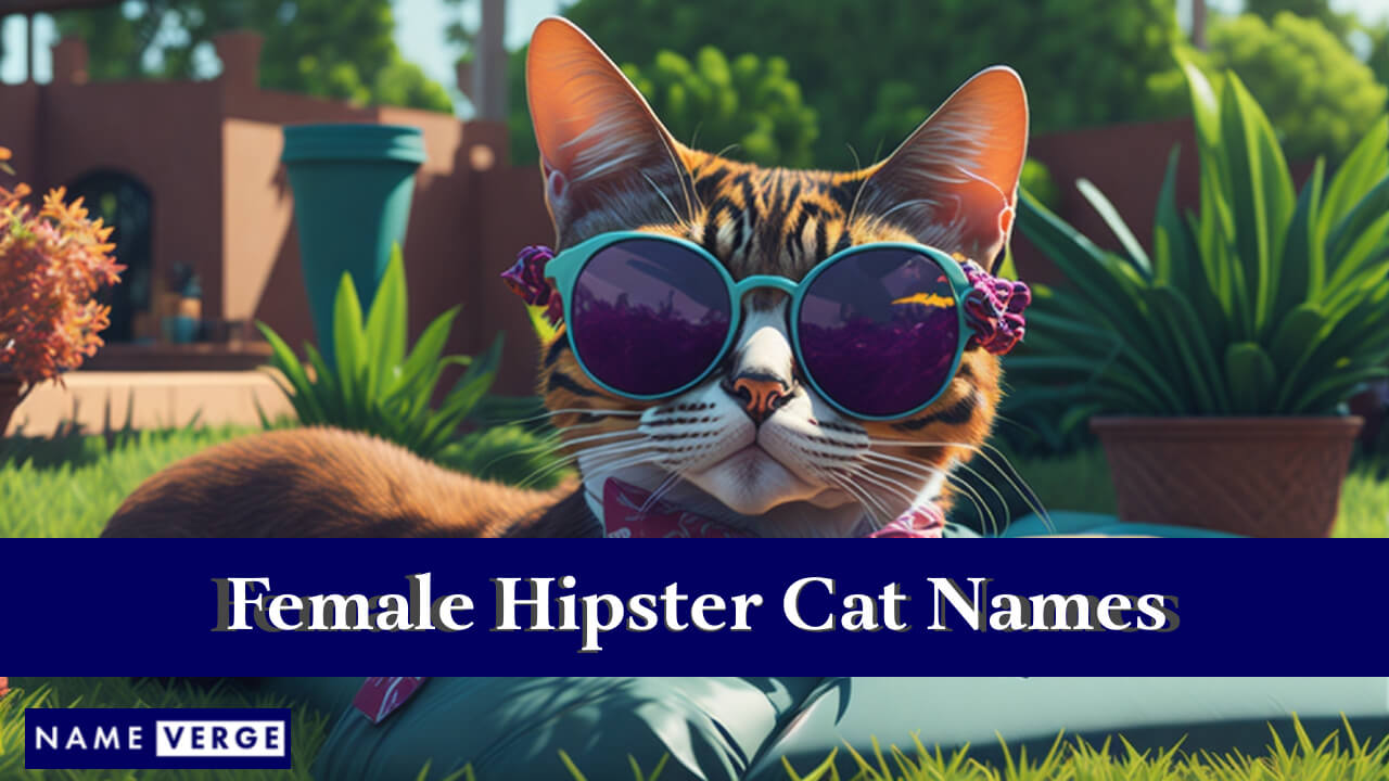 Female Hipster Cat Names