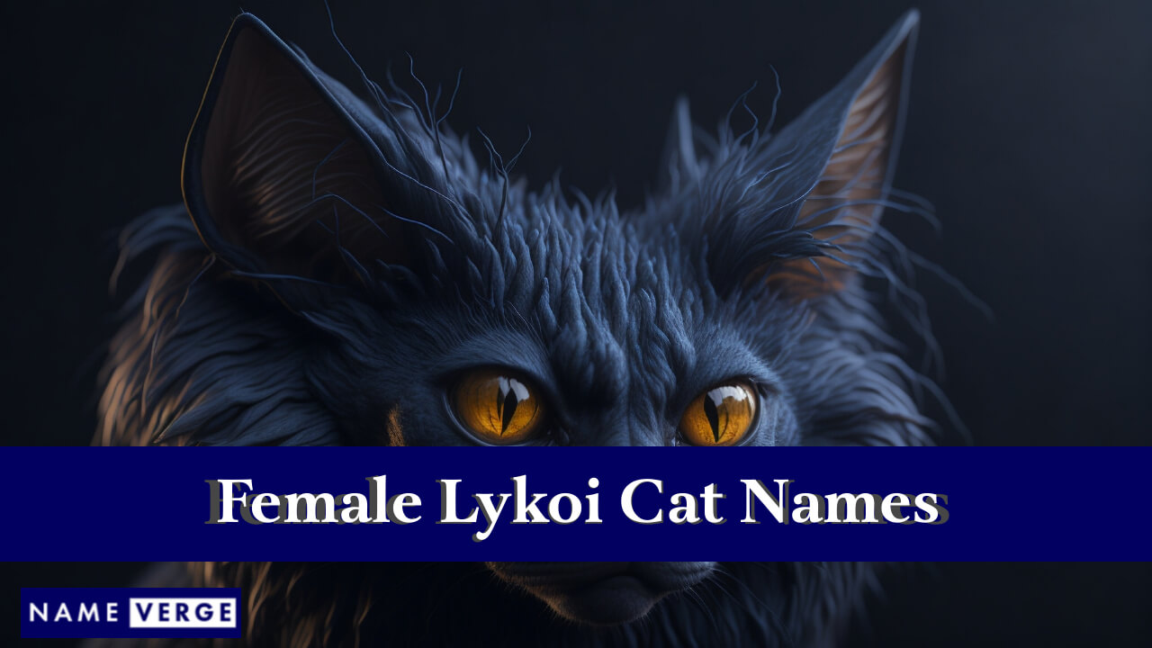 Lykoi Cat Names Female
