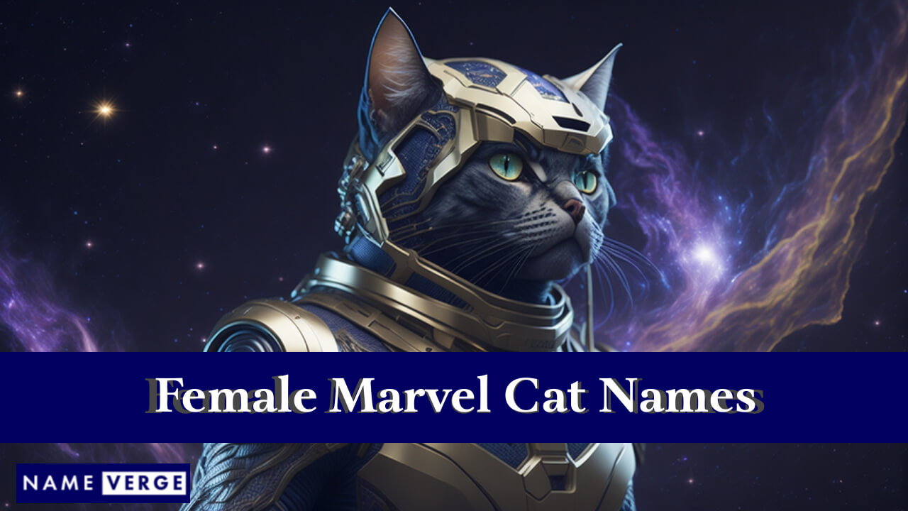 Female Marvel Cat Names