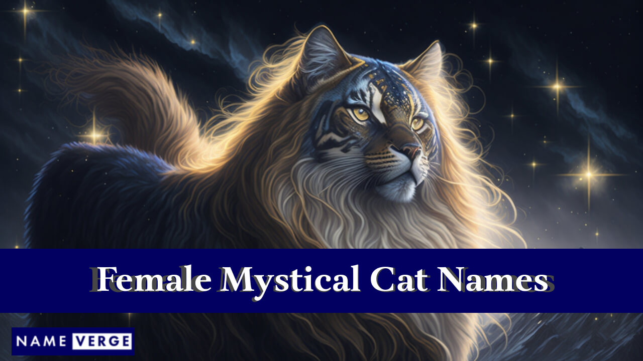 Female Mystical Cat Names