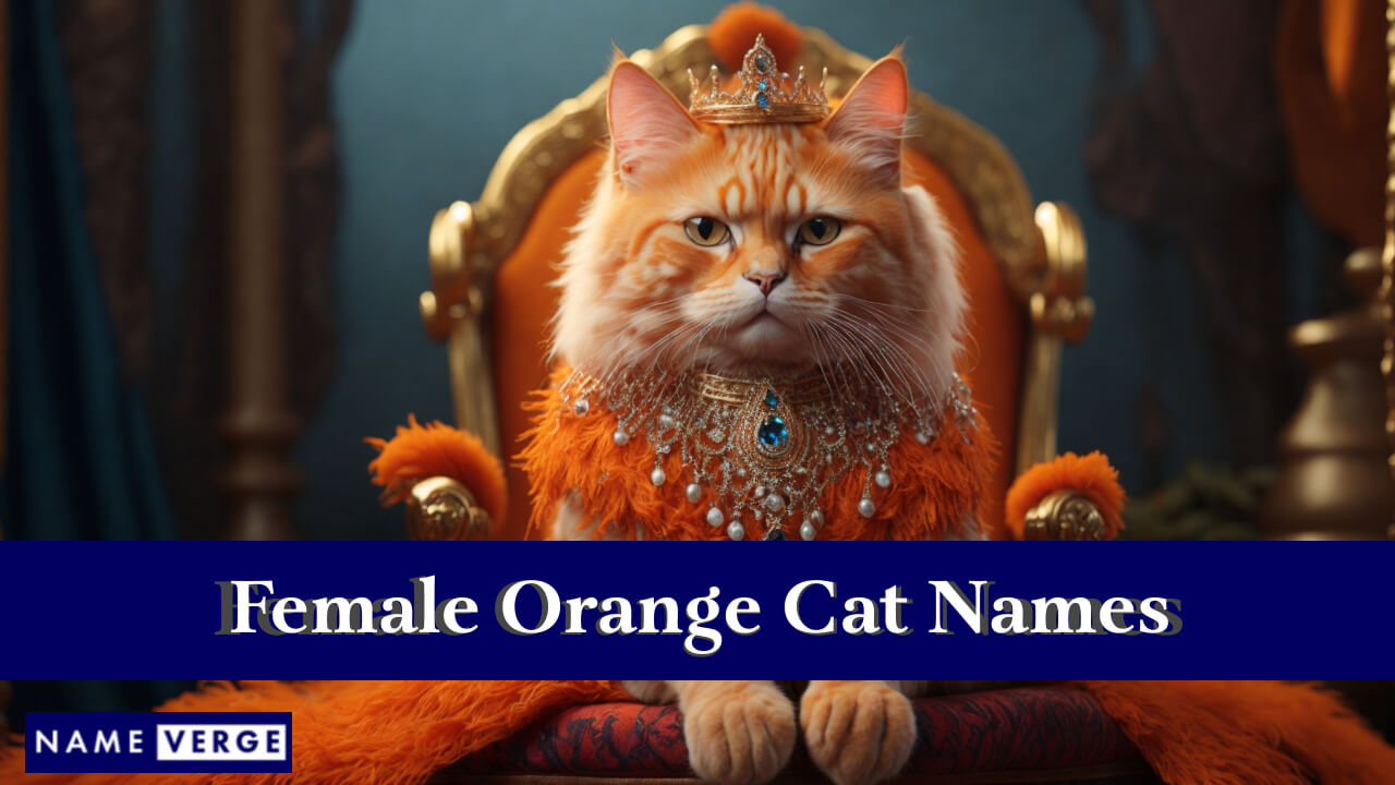 Female Orange Cat Names
