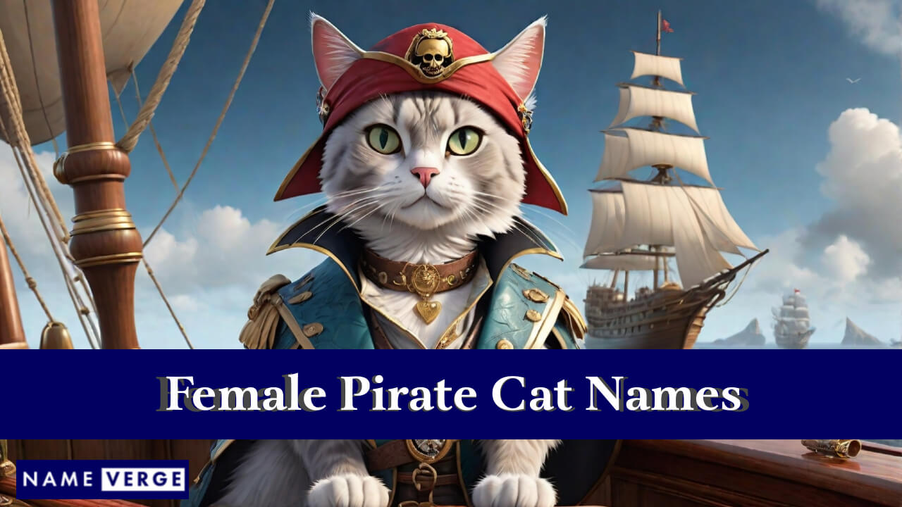 Female Pirate Cat Names
