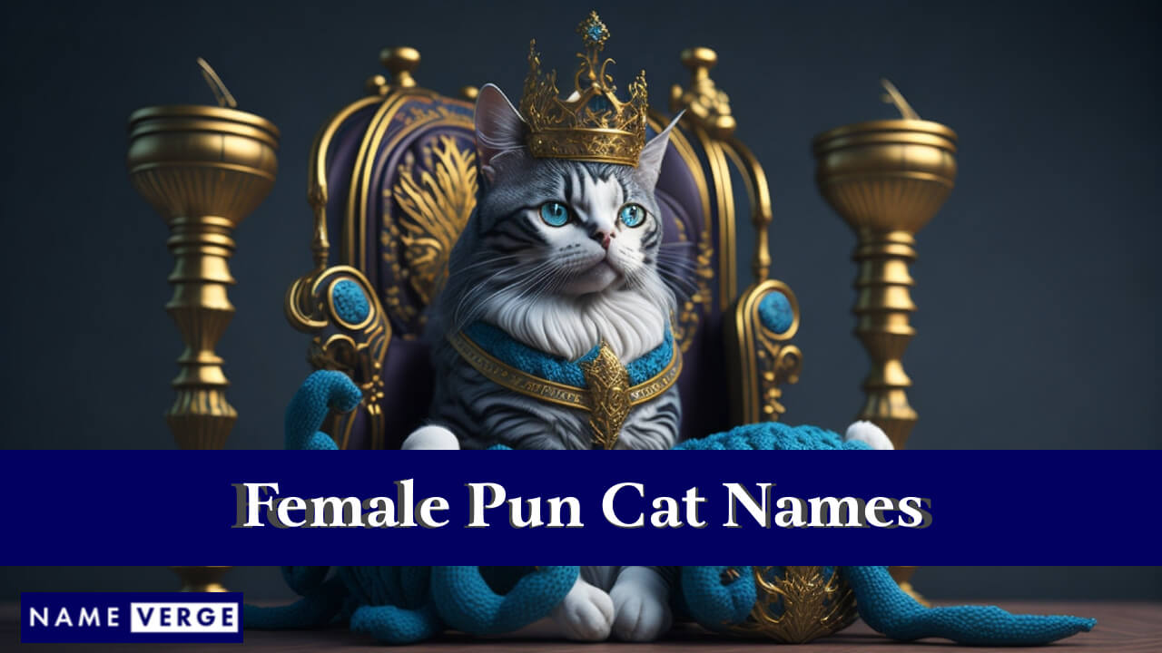 Female Pun Cat Names