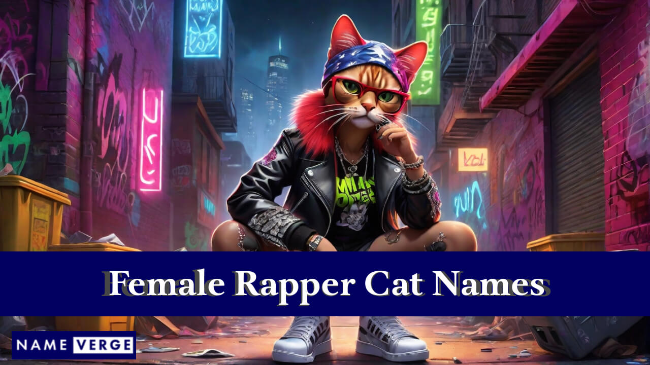 Female Rapper Cat Names