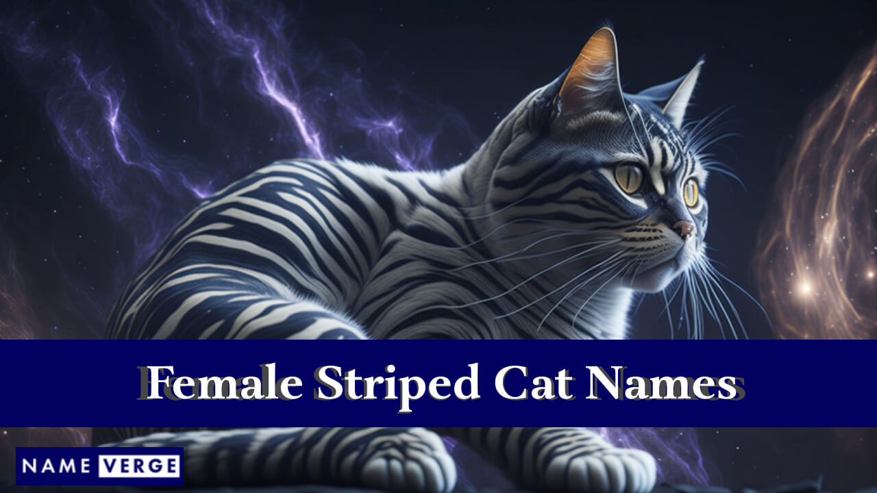 Female Striped Cat Names