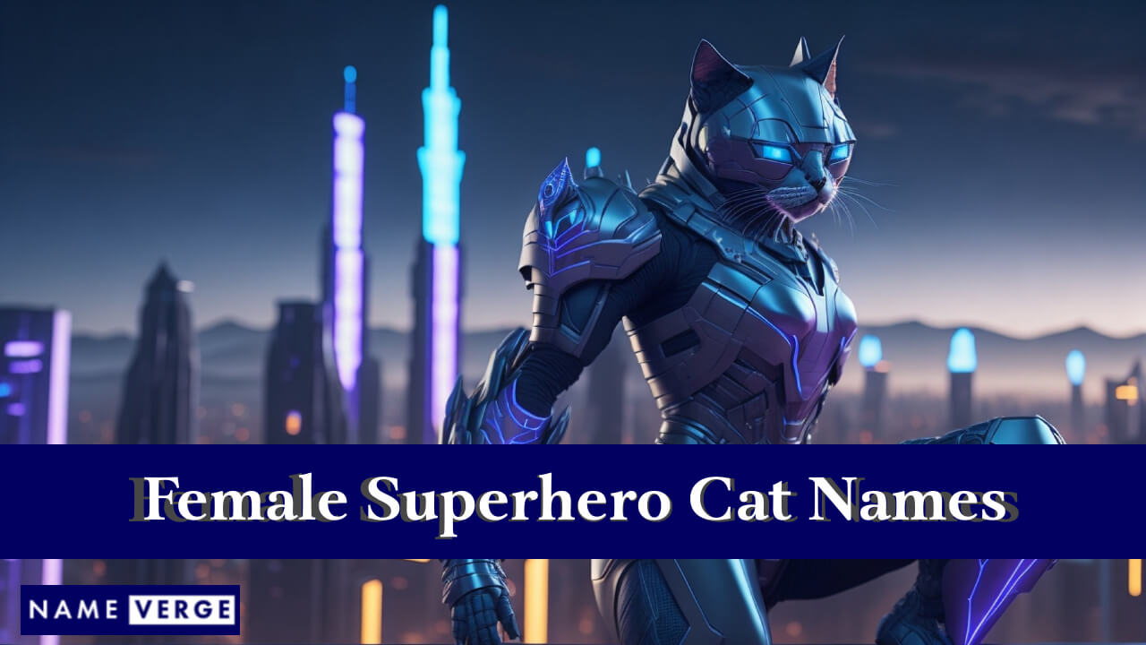 Female Superhero Cat Names