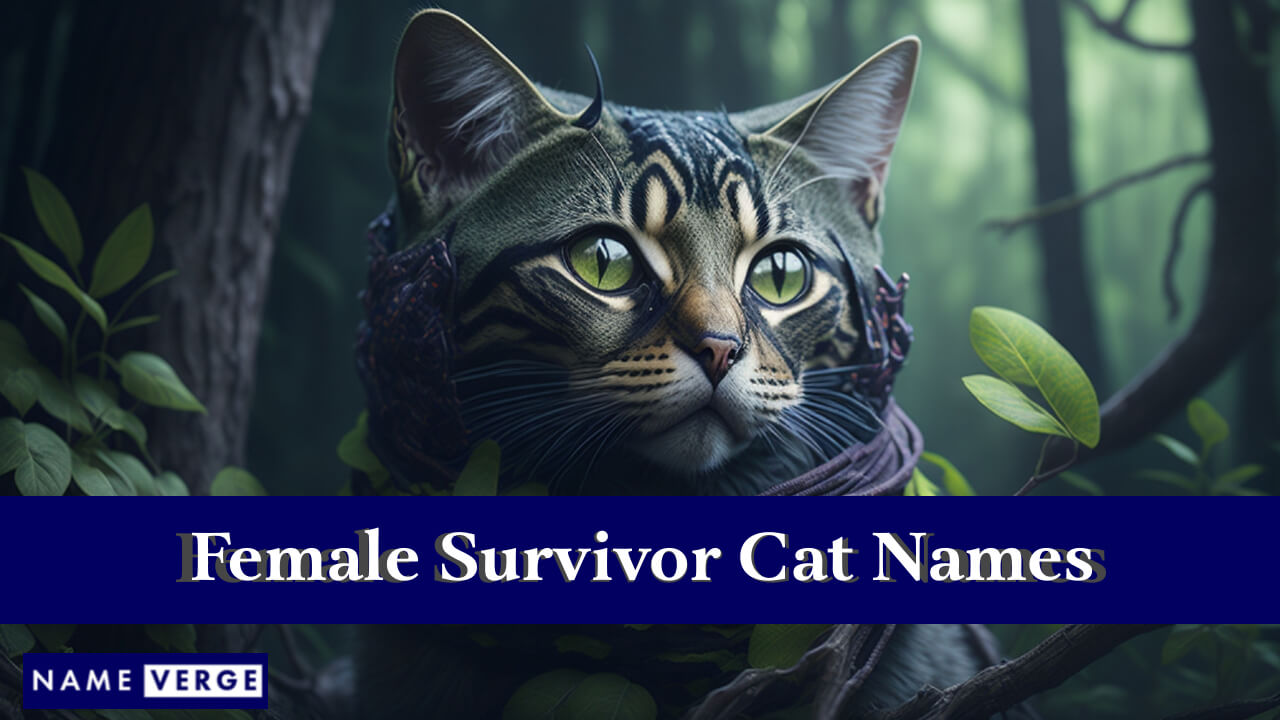 Female Survivor Cat Names