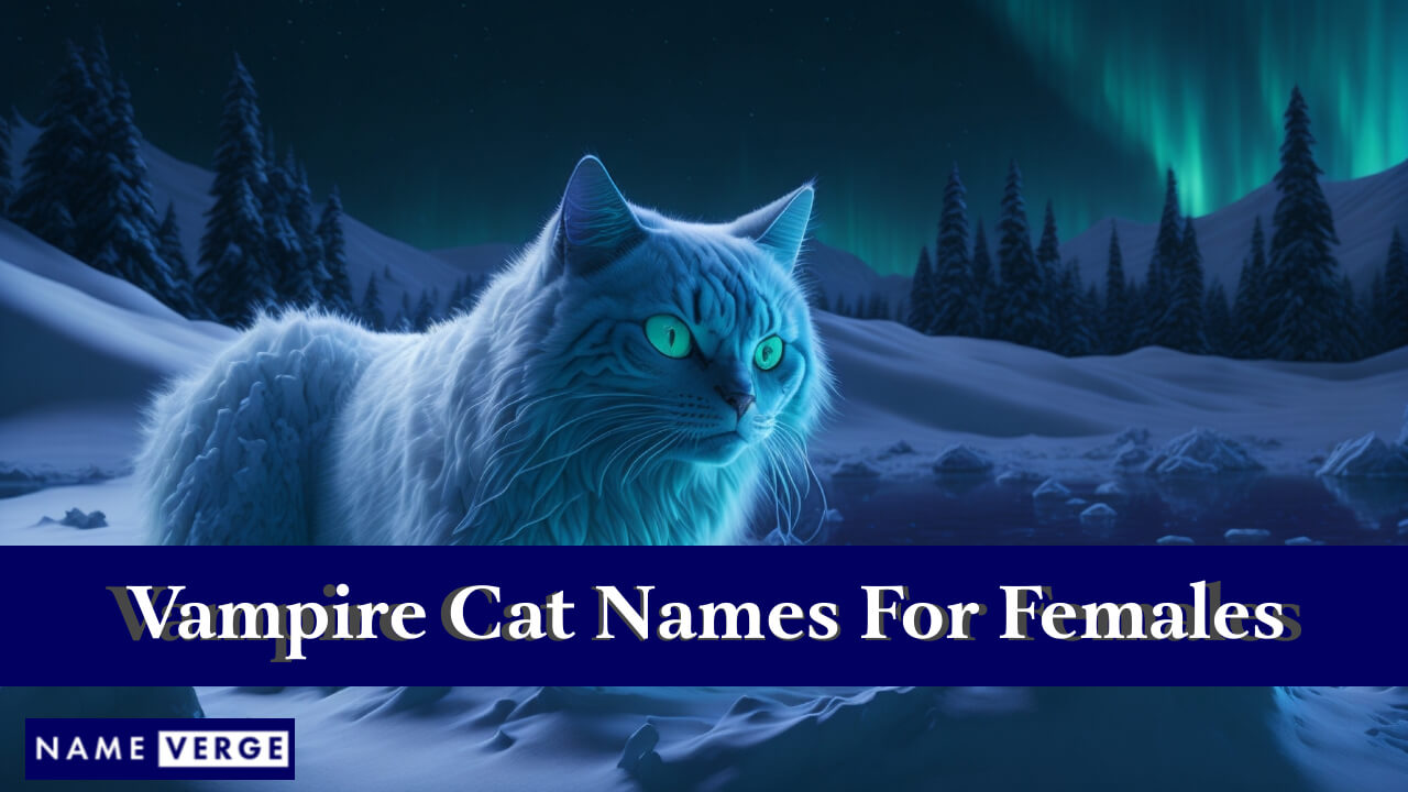 Vampire Cat Names For Females