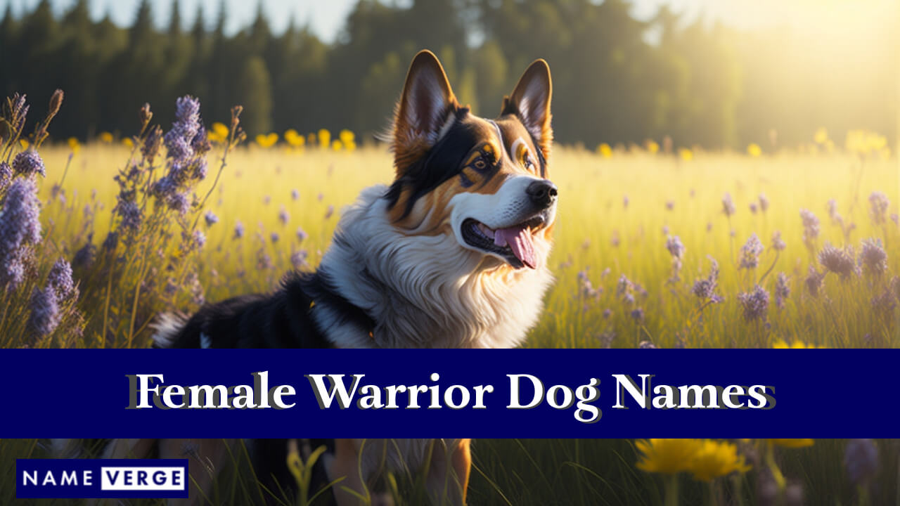 Female Warrior Dog Names
