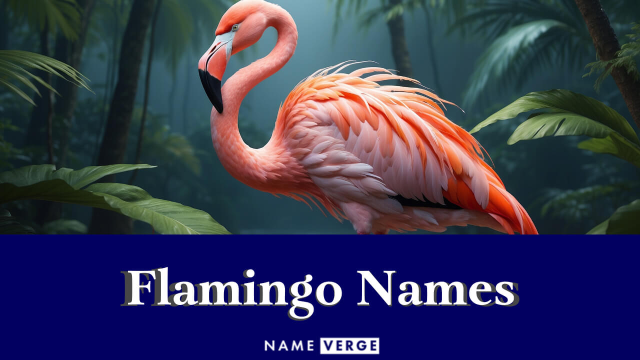 Flamingo Names: 464+ Funny Names For Your Cute Pink Bird