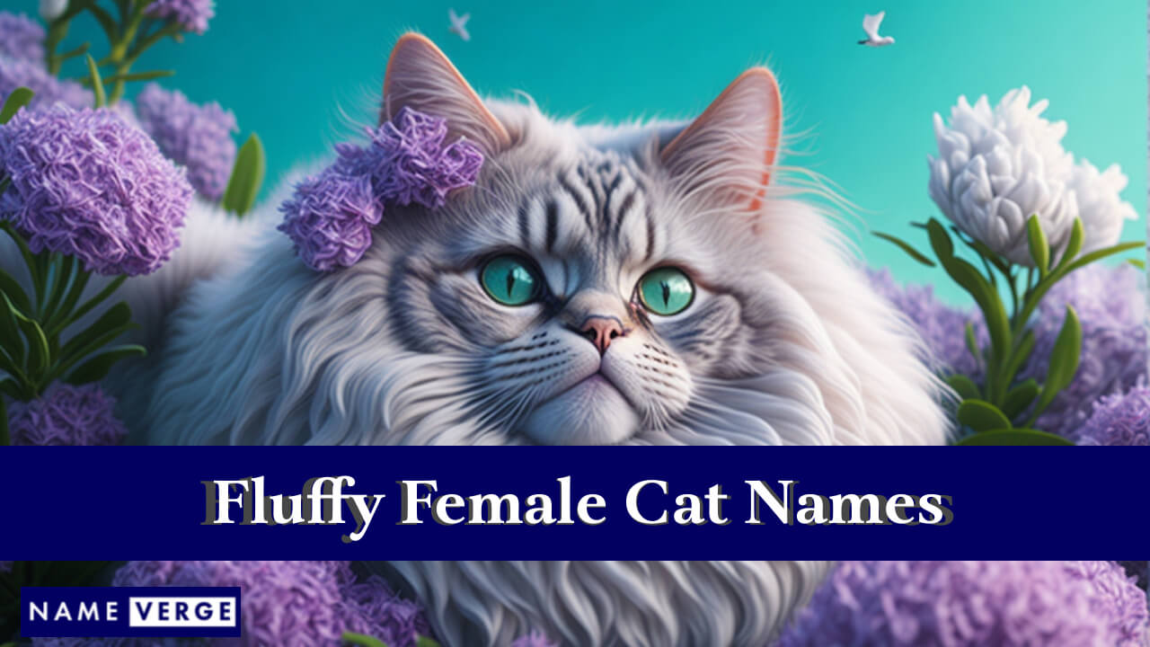 Fluffy Female Cat Names