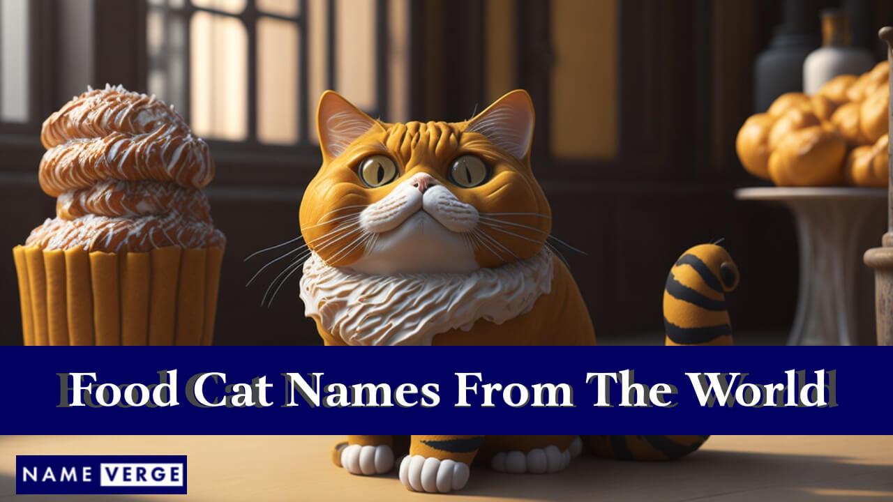 Food Cat Names From Around The World