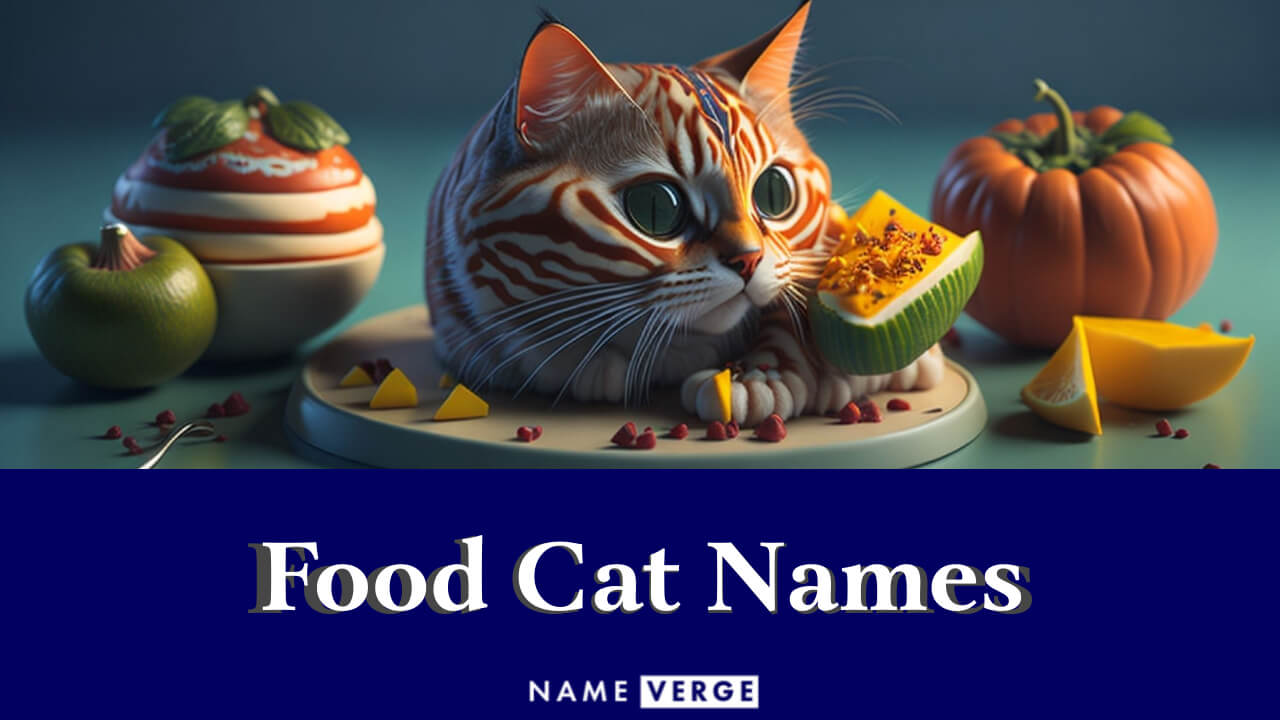 Food Cat Names: 440+ Funny & Yummy Food Names For Cats
