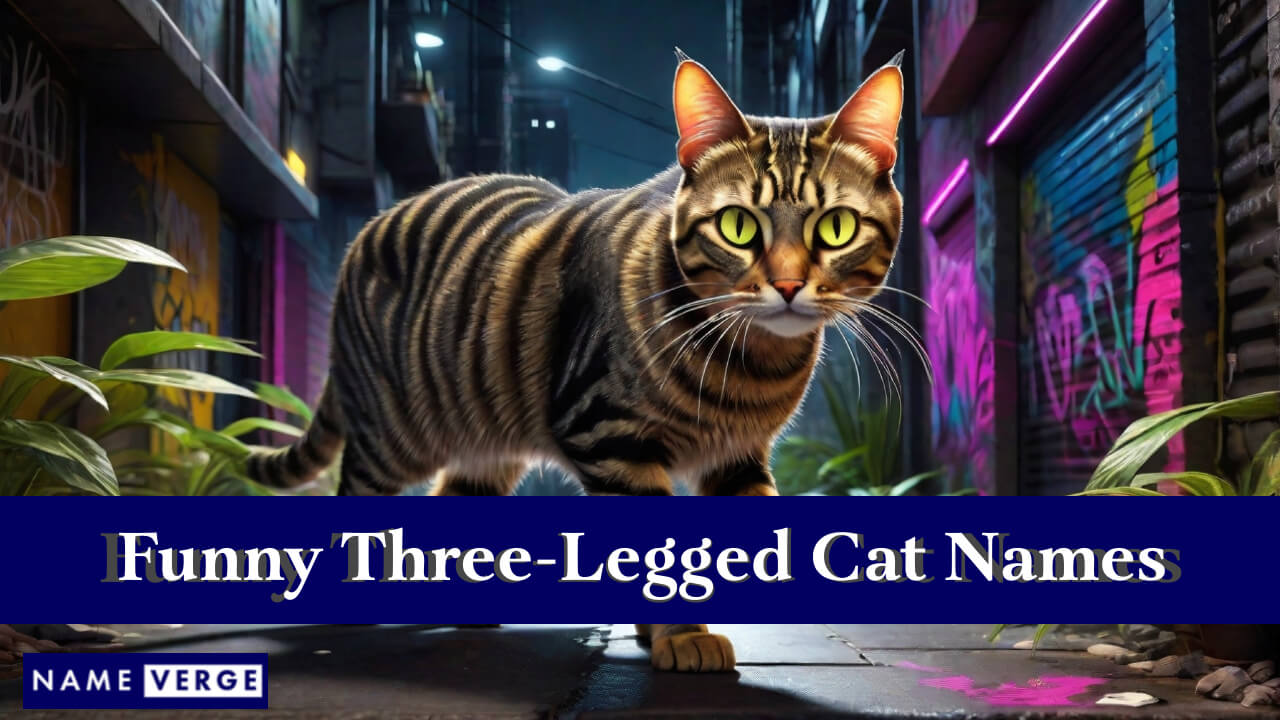 Funny Three-Legged Cat Names