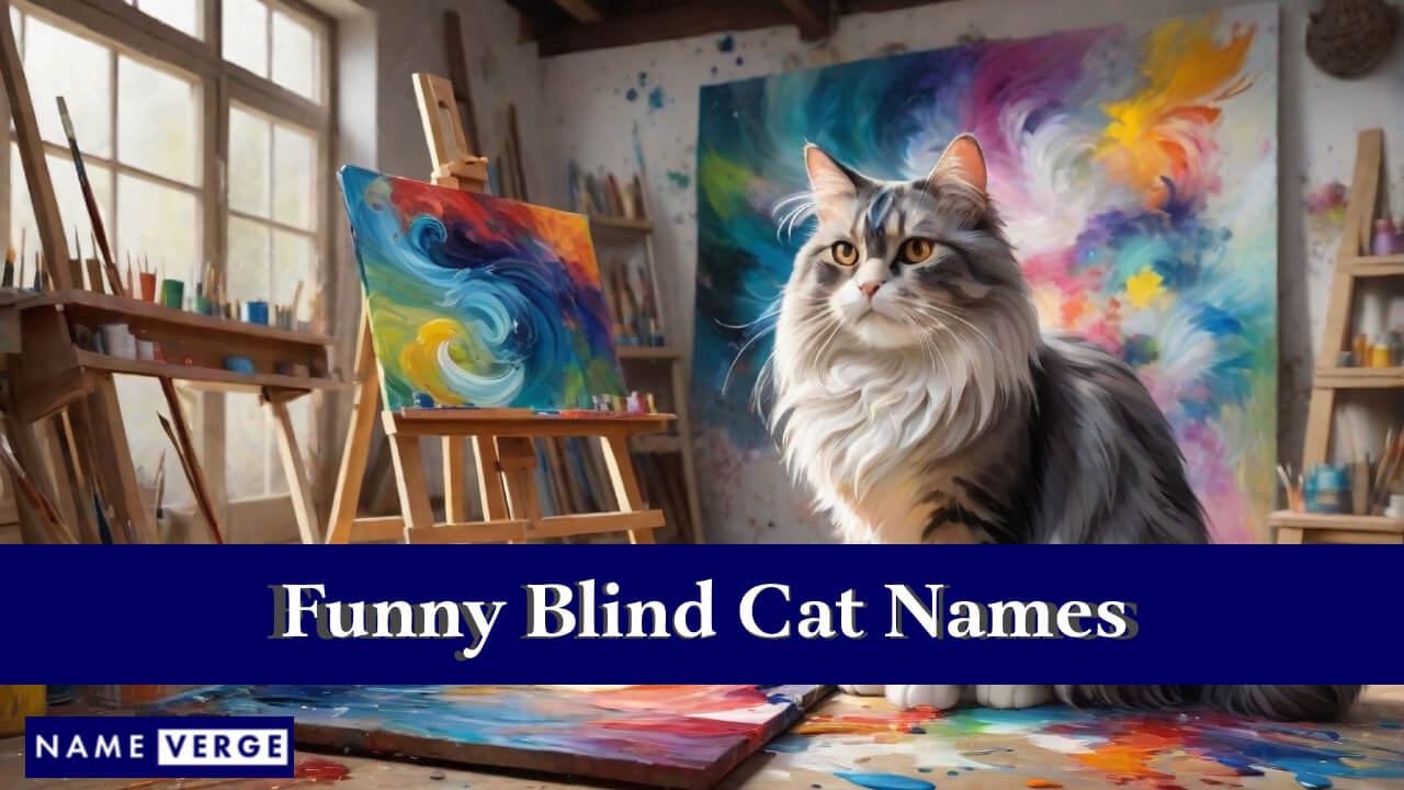 Funny Blind Cat Names