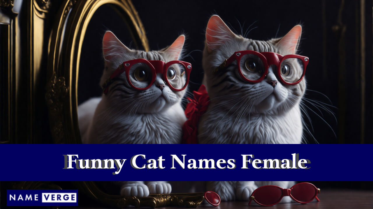 Funny Cat Names Female