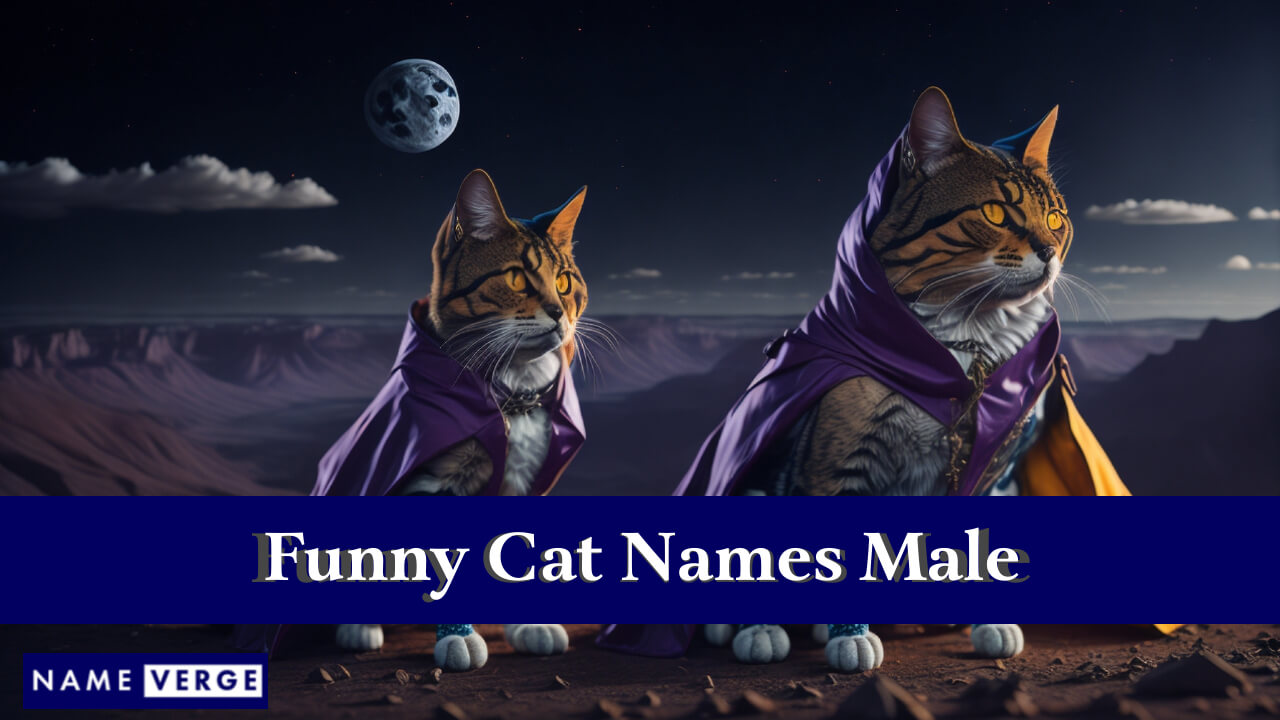 Funny Cat Names Male
