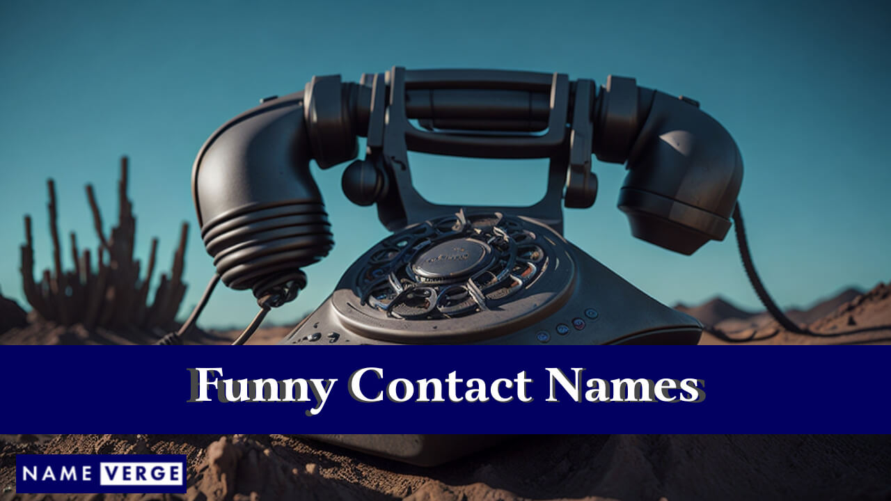 Funny Contact Names