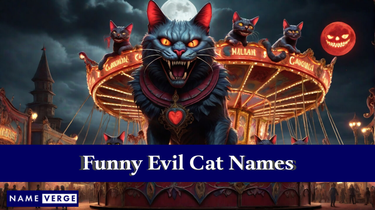 Funny Evil Cat Names