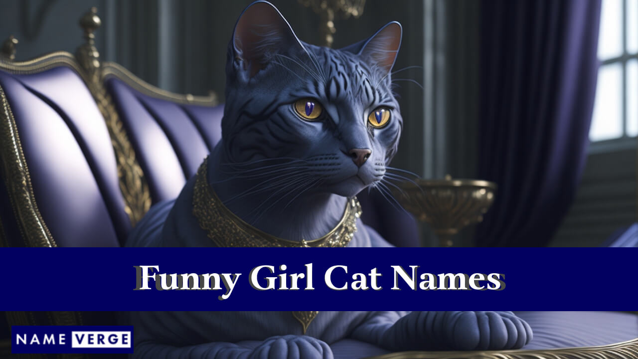 Funny Girl Cat Names