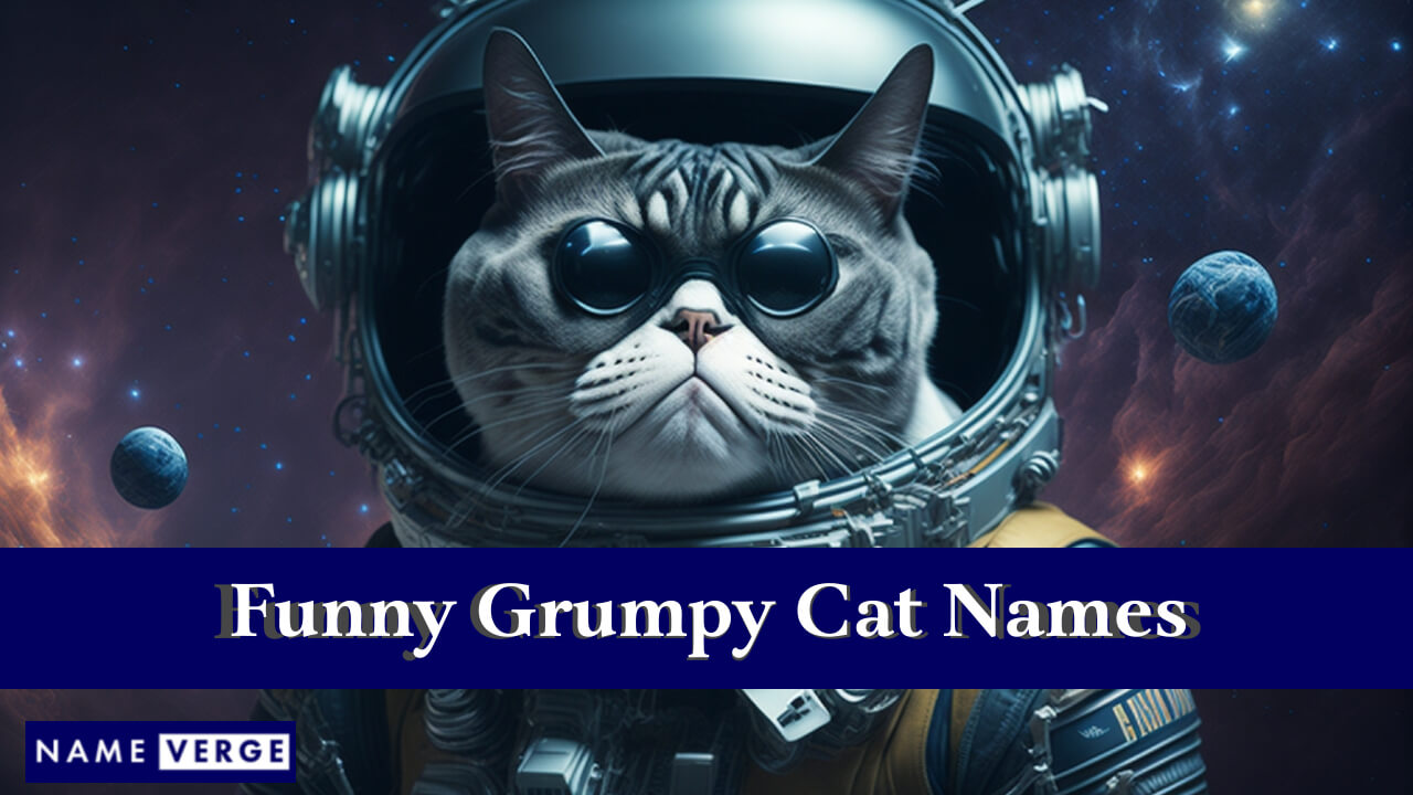 Funny Grumpy Cat Names