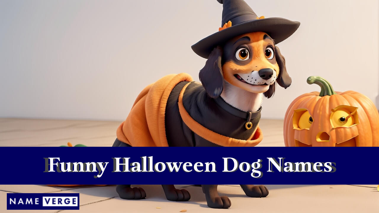 Funny Halloween Dog Names