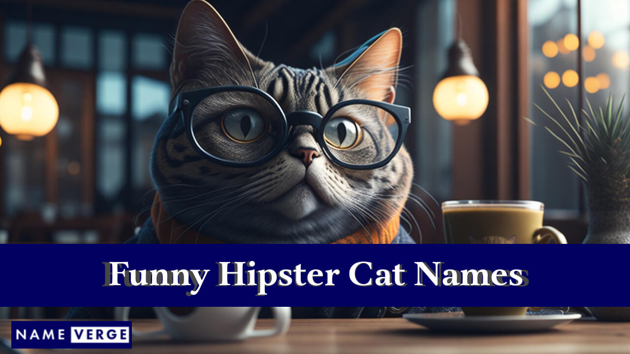 Funny Hipster Cat Names