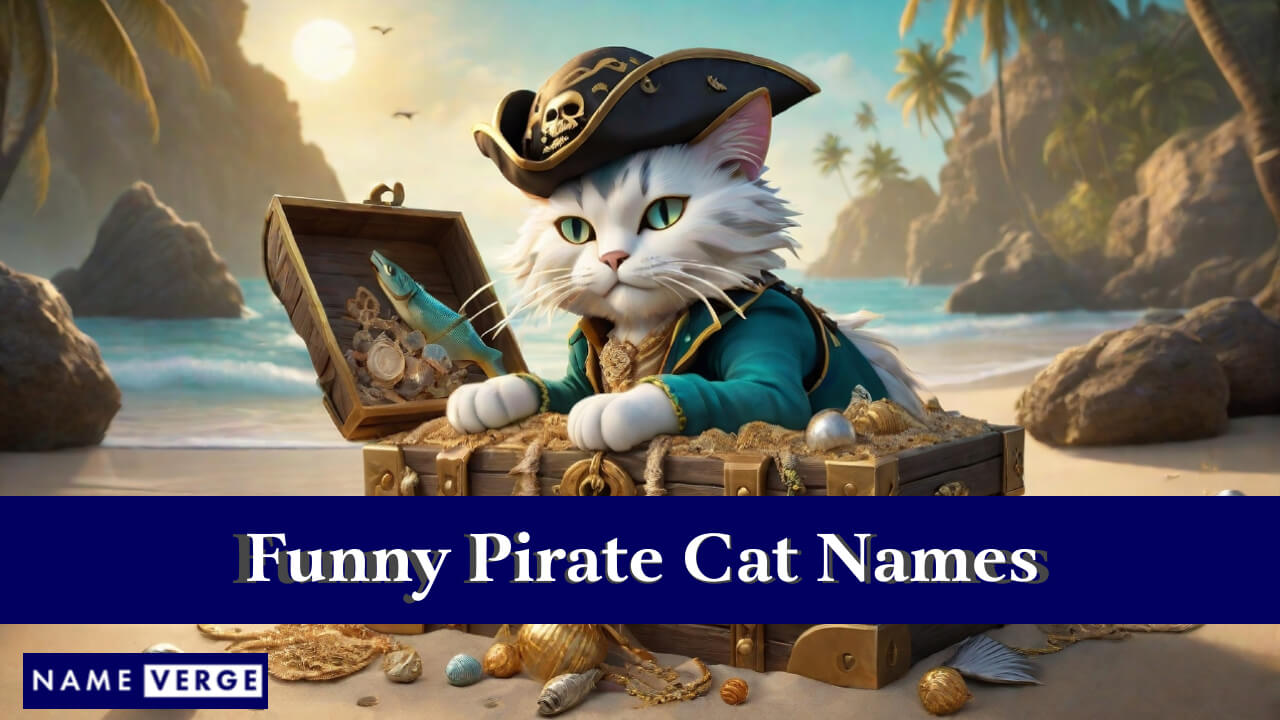 Funny Pirate Cat Names