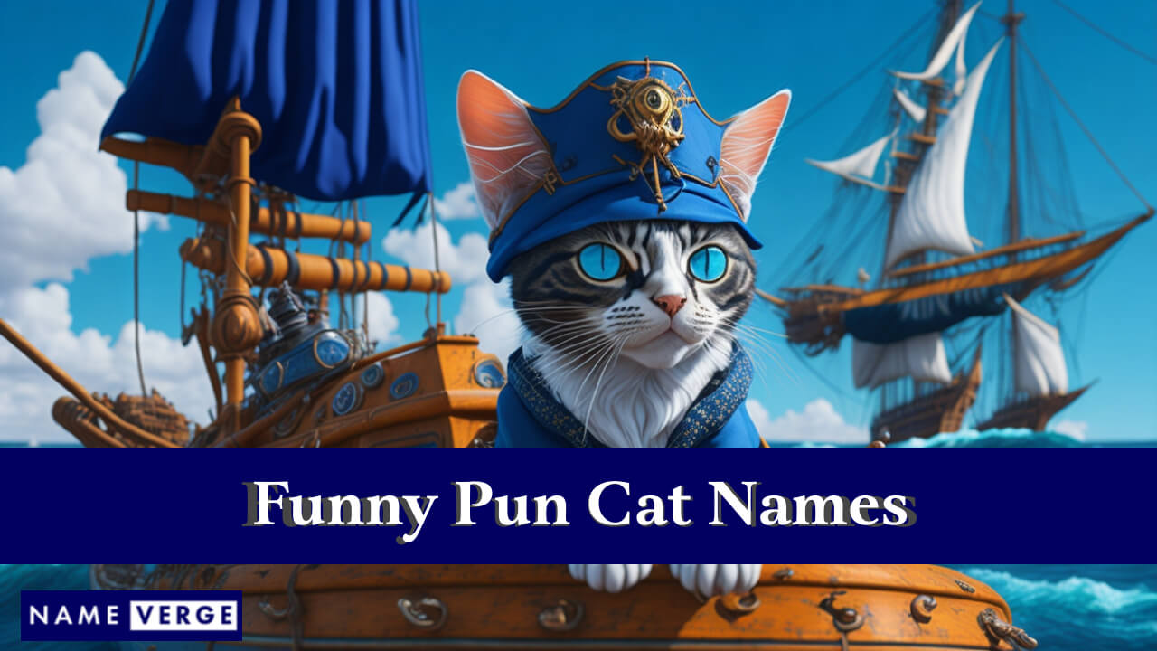 Funny Pun Cat Names