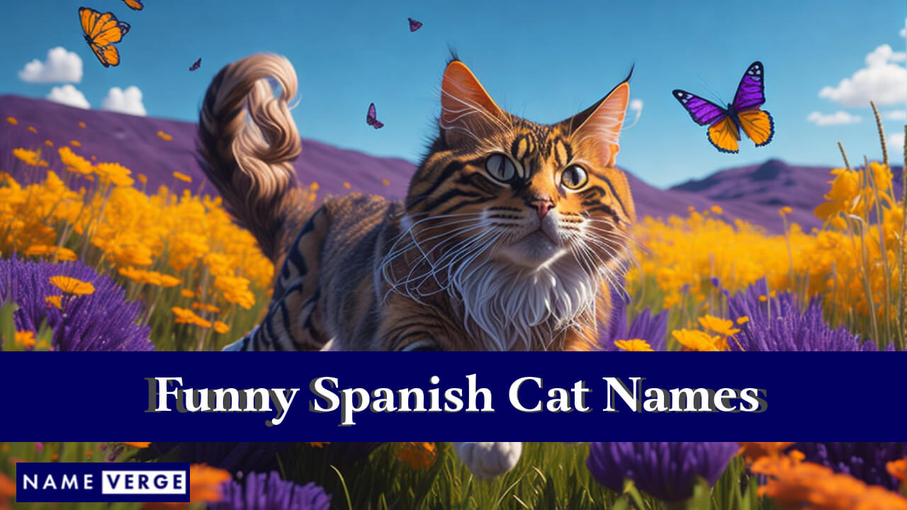 Funny Spanish Cat Names