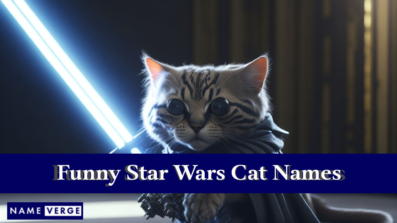 Funny Star Wars Cat Names