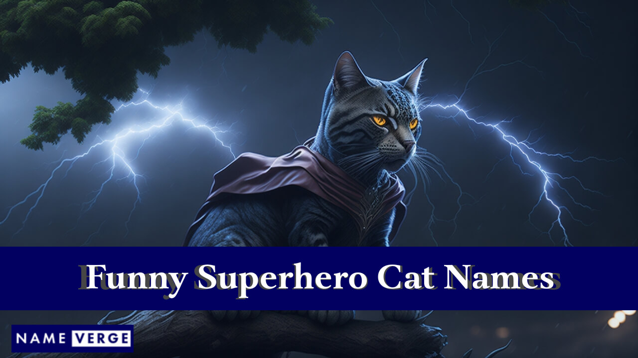 Funny Superhero Cat Names