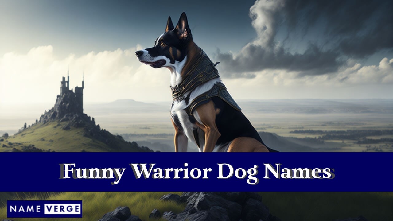 Funny Warrior Dog Names