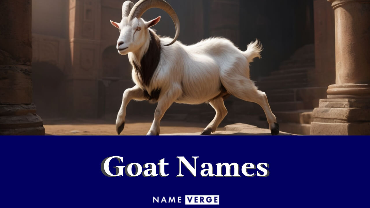 Goat Names: 464+ Funny & Cute Names For Your Naughty Pet