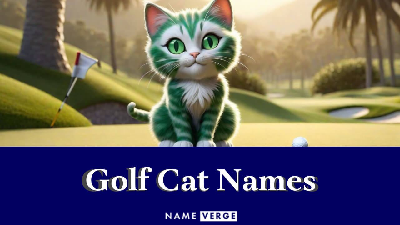 Golf Cat Names: 399+ Funny Golf-Inspired Cat Name Ideas